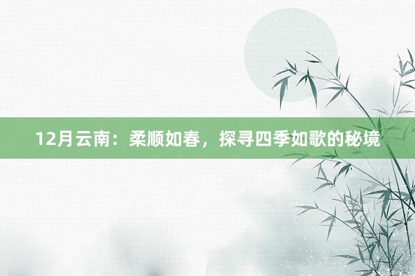 12月云南：柔顺如春，探寻四季如歌的秘境